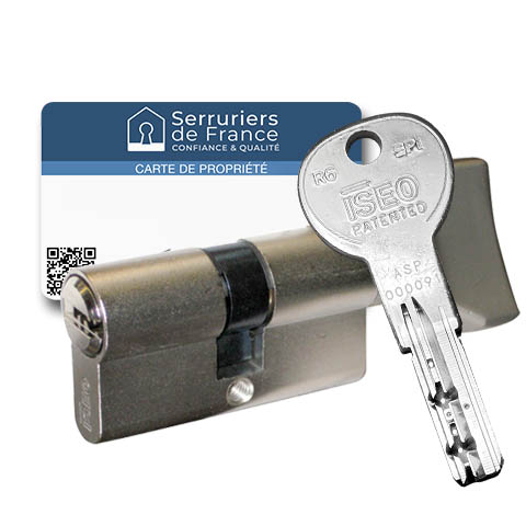 Cylindre européen à bouton finition nickelé européen R6 SPI Serruriers de France® 30X30B 60mm
